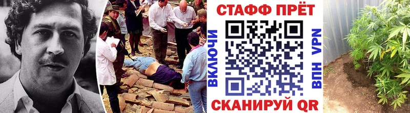 Псилоцибиновые грибы Белинский